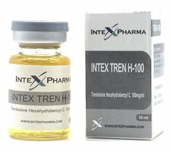 INTEX TREN-H 100